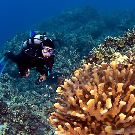 基黑Wailea Ekolu 1604别墅 外观 照片